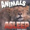 Animals_asleep