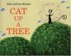 Cat_up_a_tree