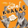 So_cute__koalas