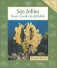 Sea_jellies