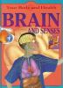 Brain_and_senses