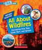 All_about_wildfires