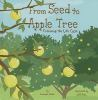 From_seed_to_apple_tree