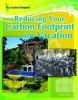Reducing_your_carbon_footprint_on_vacation