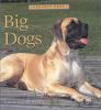 Big_dogs