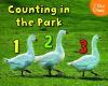 Counting_at_the_park