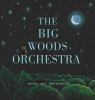 The_big_woods_orchestra
