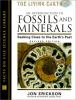 An_introduction_to_fossils_and_minerals
