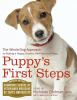 Puppy_s_first_steps
