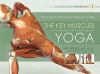 The_key_muscles_of_yoga