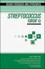 Streptococcus__Group_A_