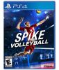Spike_volleyball