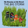 The_Big_Storm