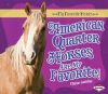 American_Quarter_Horses_Are_My_Favorite_