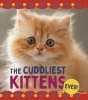 The_Cuddliest_Kittens