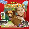 What_is_touch_