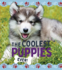 The_Coolest_Puppies