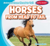 Horses_from_Head_to_Tail