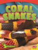 Coral_Snakes