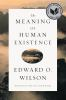 The_meaning_of_human_existence