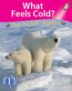 What_Feels_Cold_