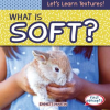 What_Is_Soft_