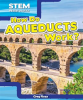 How_Do_Aqueducts_Work_