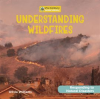 Understanding_Wildfires
