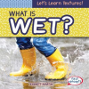 What_Is_Wet_