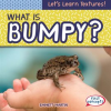 What_Is_Bumpy_