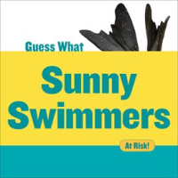 Sunny_Swimmers