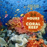 24_Hours_on_a_coral_reef