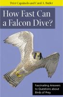 How_fast_can_a_falcon_dive_