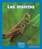 Los_insectos