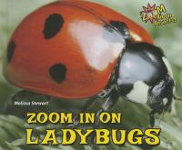 Zoom_in_on_ladybugs