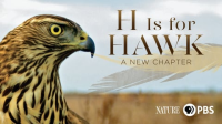 H_Is_for_Hawk__A_New_Chapter