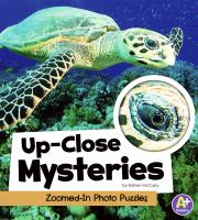 Up-close_mysteries