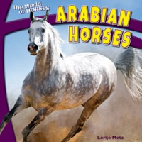 Arabian_Horses
