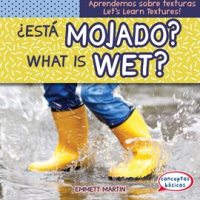 __Est___mojado____What_Is_Wet_