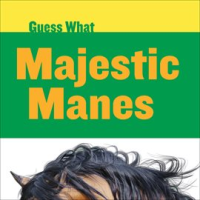 Majestic_Manes