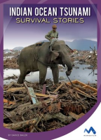 Indian_Ocean_Tsunami_Survival_Stories