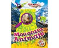 Mountain_Animals