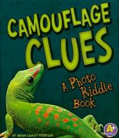 Camouflage_clues