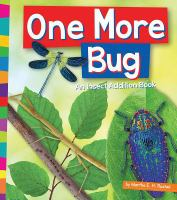 One_more_bug