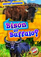 Bison_or_buffalo_