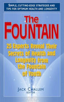 The_Fountain