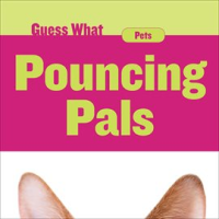 Pouncing_Pals