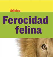 Ferocidad_Felina
